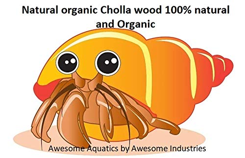 Awesome Aquatic Long Natural Cholla/Choya Wood 3 Pieces 12” for Shrimp Habitat and Food Treat Hermit Crabs Plecos Aquarium Decoration Lowers pH Hideouts and Chew Toys Reptiles Organic - PawsPlanet Australia