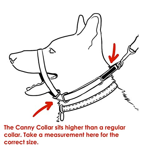 Canny Collar - The Collar for Dog Training and Walking, Helps with Dog Training and Helps to Stop Dogs Pulling on The Leash Size 3 Red - PawsPlanet Australia