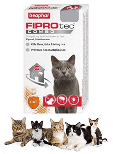 Beaphar FIPROtec COMBO Flea Tick & Lice Spot On Treatment For Cats (1 Treatment) 1 Treatment - PawsPlanet Australia