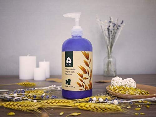 [Australia] - ArfArf Anti ltch & Allay Irritation Oatmeal Dog Shampoo for Dry Itchy Skin - Natural Dog Shampoo for Smelly Dogs - Tearless Formula for Your Dog's Comfort | Hypoallergenic Dog Shampoo | Made in Taiwan | (White Coated Pet Shampoo) White Coated Pet Shampoo 