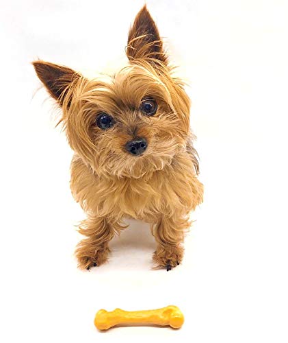 Pet Qwerks Zombie NYLON BarkBone - Chew Toy for Aggressive Chewers, Tough Durable Extreme Power Chewer Bone | Made in USA -  Available in 2 Flavors and 4 Sizes Cheddar Cheese Small - PawsPlanet Australia