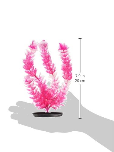 [Australia] - Vibrascaper Foxtail, 8-Inch Medium 