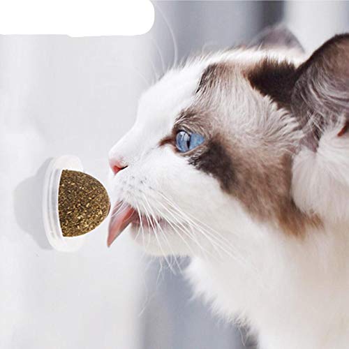 [Australia] - Octlang 100% Natural Catnip Cat Wall Stick-On Ball Toy Treats 