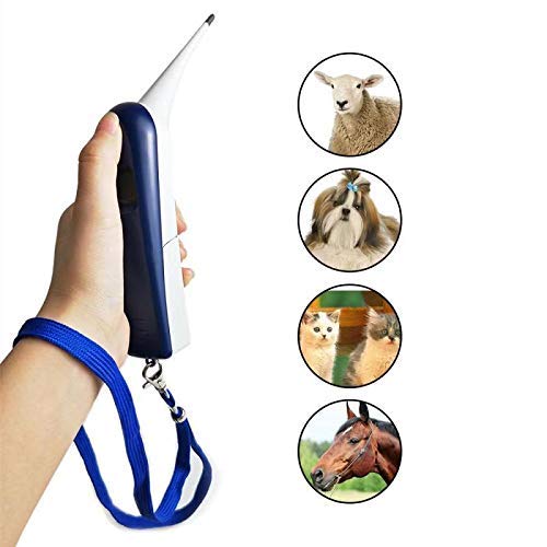 AURYNNS Pet Thermometer Dog Thermometer, Fast Digital Veterinary Thermometer, Pet Thermometer for Dogs, Cats, Horse,Cattle, Pigs,Birds, Sheep.C/F Switchable (Blue) - PawsPlanet Australia