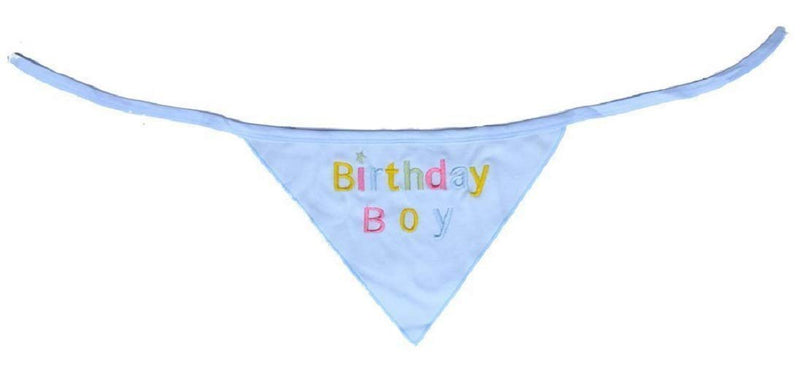 Alemon Dog Pet Birthday Bandana for Dogs, Blue - PawsPlanet Australia