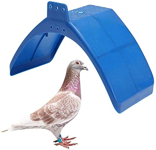 COLIBYOU 20pcs Dove Rest Stand Frame Grill Dwelling Pigeon Perches Roost Bird Supplies Blue Color - PawsPlanet Australia