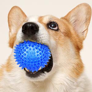 Rubber Ball Toy for Dogs | Knobby Spiky Bouncing Sphere | Guaranteed | Aggressive Chewer Pet Toy | All Breeds Small to Large - PawsPlanet Australia