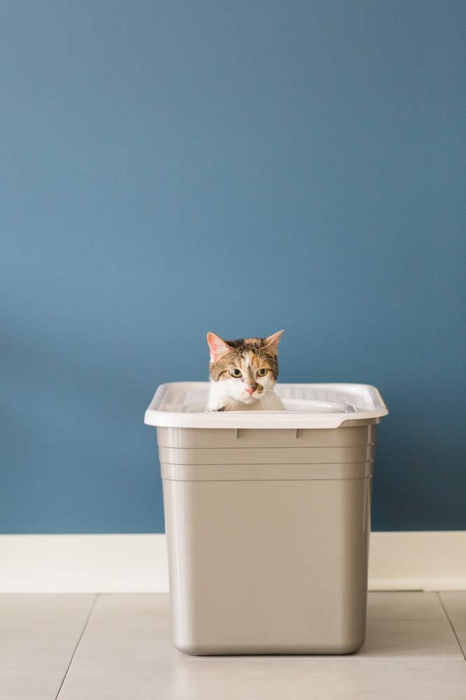 Petmate Top Entry Litter Pan Cat Litter Box Brushed Nickel/Pearl White - PawsPlanet Australia