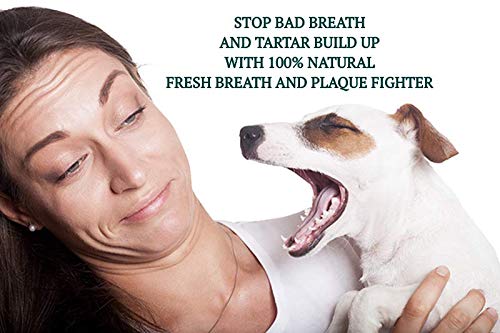 PADDIPAWS DOG BREATH SPRAY - 100% NATURAL - Attacks Harmful Bacteria in the Dogs mouth. Stops Bad Breath. Reduces Tartar while controlling Plaque build-up, leaving the mouth Cleaner and Healthier. - PawsPlanet Australia