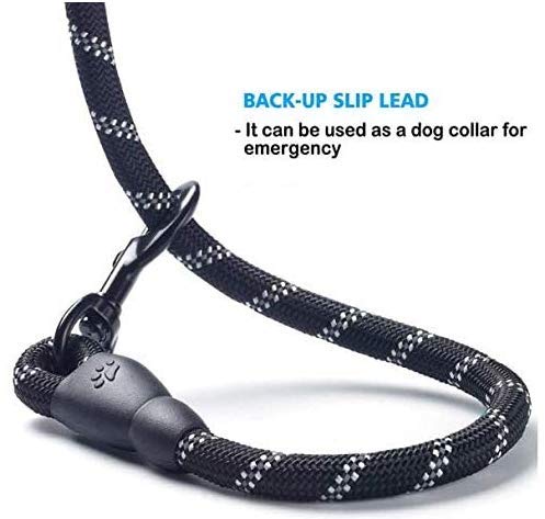 SMIN 5 FT Strong Dog Leash with Comfortable Padded Handle and Highly Reflective Threads Dog Leashes(Black) - PawsPlanet Australia