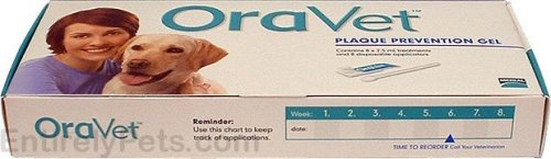 Oravet 8 x 2.5 mL Treatments - PawsPlanet Australia