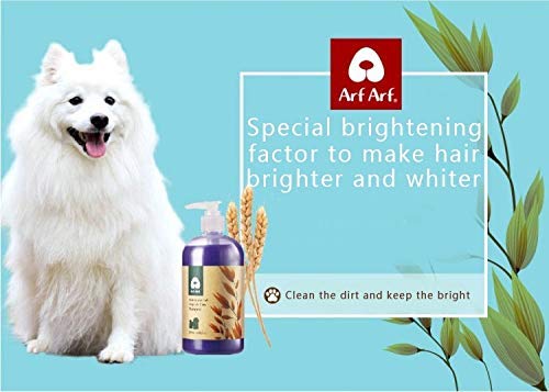 [Australia] - ArfArf Anti ltch & Allay Irritation Oatmeal Dog Shampoo for Dry Itchy Skin - Natural Dog Shampoo for Smelly Dogs - Tearless Formula for Your Dog's Comfort | Hypoallergenic Dog Shampoo | Made in Taiwan | (White Coated Pet Shampoo) White Coated Pet Shampoo 