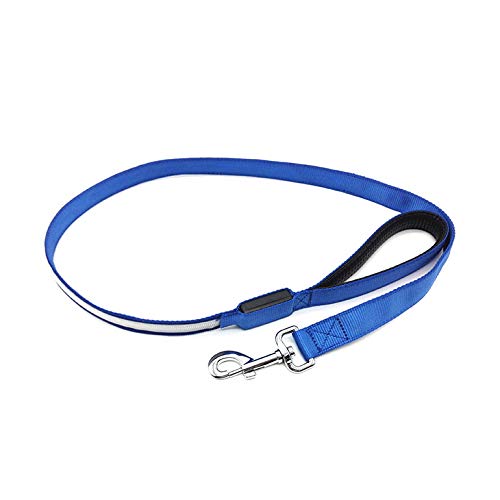 BAR LED Dog Lead/Leash - Rechargeable - 2 Colour Options Blue LED With Blue Harness - PawsPlanet Australia