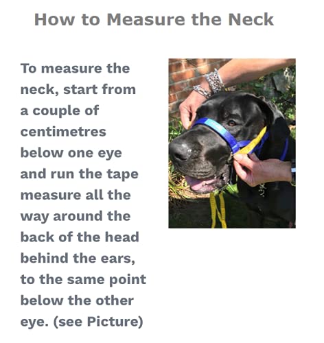 Big Dog Styles Head Collar (2, Black) 2 - PawsPlanet Australia