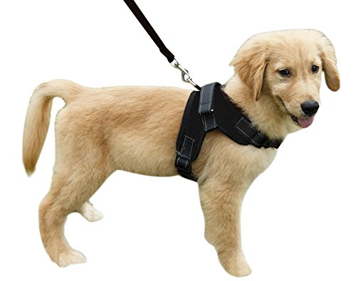 [Australia] - Heavy Duty Adjustable Pet Puppy Dog Safety Harness with Leash Lead Set Reflective No-Pull Breathable Padded Dog Leash Collar Chest Harness Vest with Handle for Small Medium Large Dogs Training Walking Black Harness + Black Leash 