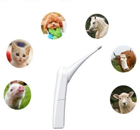 Aurynns Pet Thermometer Dog Thermometer, Fast Digital Veterinary Thermometer, Pet Thermometer for Dogs, Cats, Horse,Cattle, Pigs,Birds, Sheep.C/F Switchable (White) White - PawsPlanet Australia
