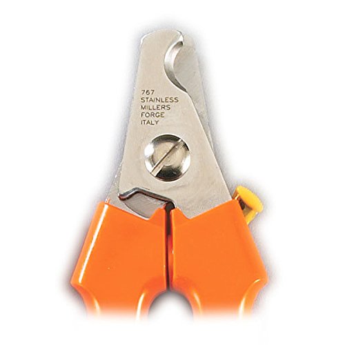 [Australia] - MF Large Dog Nail Clippers Orange Handled Precision Professional Grade Claw Care 