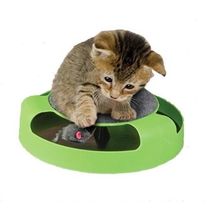 [Australia] - Dependable Cat Mouse Toy for Kittens- Cats - Catch The Mouse Motion -Cat Toy- Incredibly Fun to Play with & Amusing to Watch - Get It Now 