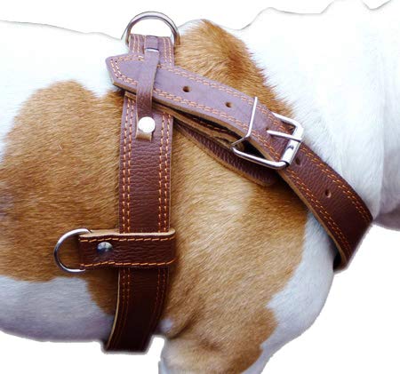 [Australia] - Genuine Brown Leather Dog Pulling Walking Harness XLarge. 33"-37" Chest 1.5" Wide Straps, Padded 