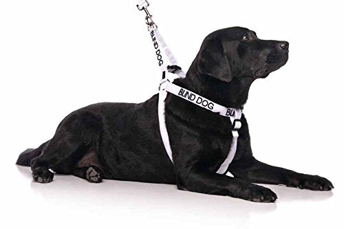 [Australia] - Dexil Limited Blind Dog White Color Coded Alert Warning L XL Non-pull Dog Harness Prevents Accidents By Warning Others of Your Dog in Advance 