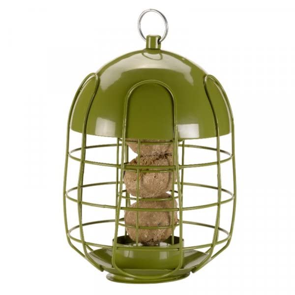 Acorn Squirrel Guard Proof Suet Fat Ball Bird Feeder Feeding Station Heavy Duty Foglish - PawsPlanet Australia