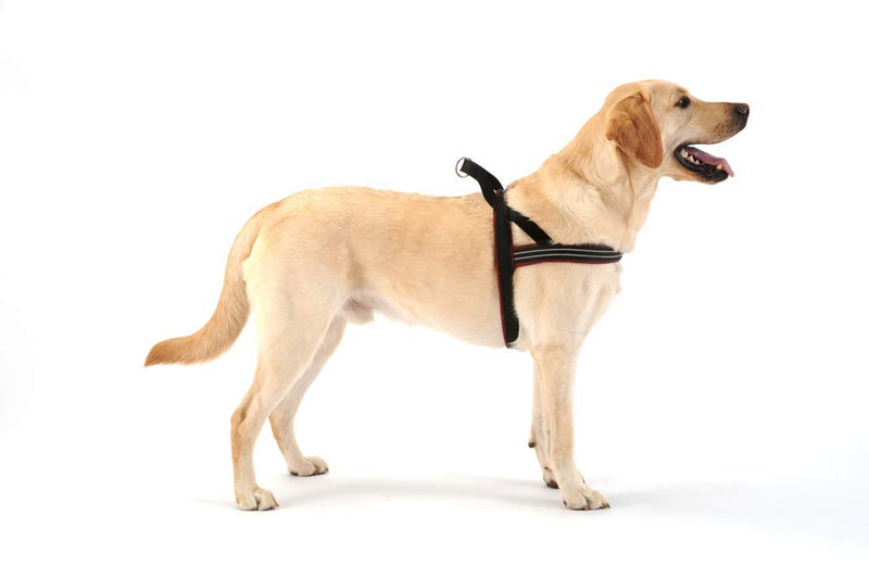 [Australia] - ComfortFlex American Made Quick Fit Fully Padded Non-Chafing Reflective Sport Dog Harness for Active Dogs xs The Patriot 