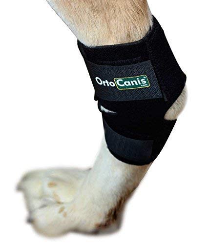 Ortocanis Original Hock wrap for Dogs Rear Leg, Canine hind Leg Joint Brace for Dogs with Arthritis or Injuries - for All Breeds - Size XS - PawsPlanet Australia