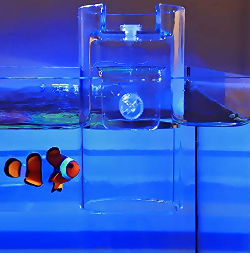 [Australia] - MiguCo Acrylic Fish Feeding Ring Aquarium Food Feeder Bowl 