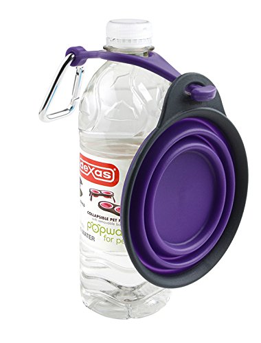 [Australia] - Dexas Pets Collapsible Travel Cup 1 Cup Capacity with Bottle Holder/Carabiner Gray/Purple 