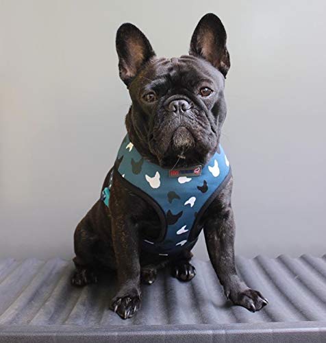 Love Frenchie - French Bulldog Reversible Harness (Medium, Blue La La) Medium - PawsPlanet Australia