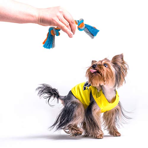 Toozey Dog Toys Puppy Toys Squirrel- 7 Pcs Dog Toys for Boredom - Indestructible Dog Toys - Dog Toys for Small Dogs - Puppy Chew Toys&Squeaky Dog Toy Set Interactive - Natural Cotton&Non-toxic… - PawsPlanet Australia