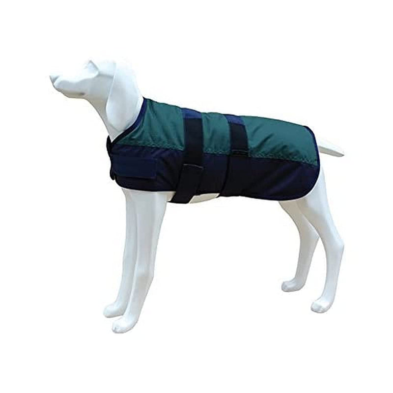 Freedog FD5000979 - Waterproof coat, for dog, green color - PawsPlanet Australia