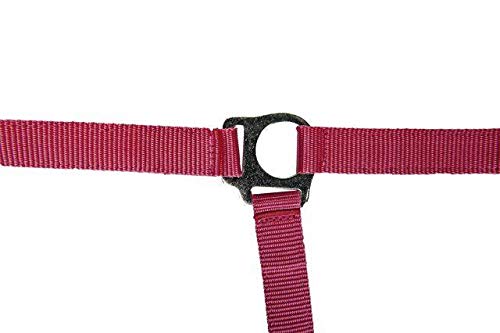 HKM 544103 Headcollar Stars Economy Softice - PawsPlanet Australia