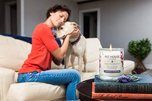 [Australia] - One Fur All - Pet Memorial Candle - Furever Loved Pet Eco-Friendly Natural Soy Wax Candle, Non-Toxic & Paraffin-Free Reusable Glass Jar Candle, Cat & Dog Memorial Candle, Up to 60 Hours Burn Time 