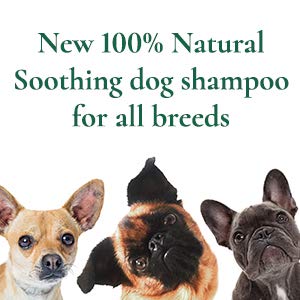 Charlie & Co Naturals 100% Natural Soothing Dog Shampoo - PawsPlanet Australia