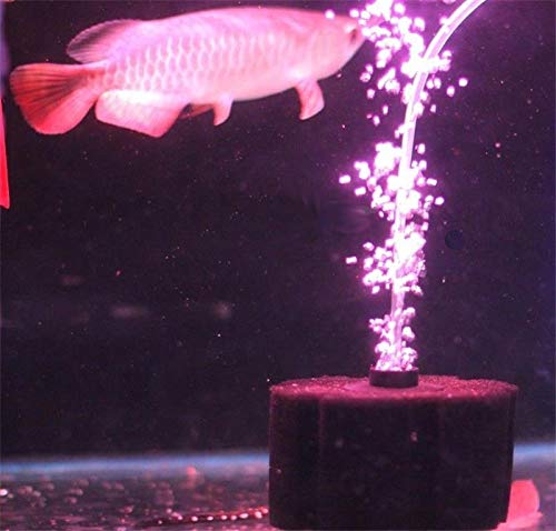 [Australia] - Aquapapa Bio Sponge Filter for Betta Fry Aquarium Fish Tank Up to 55 Gal, 3-Pack (L) 