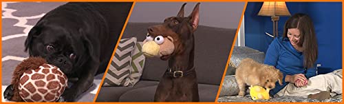 Gazoos Interactive Dog Toy - Modo Dodo - PawsPlanet Australia