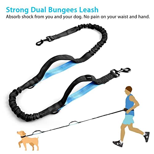 UPPETLY Dog Hands Free Leash with Zipper Pouch, Professional Running Leash with Dual Handle Retractable Bungee and Reflective Stitches, Waist Bag Pack Carrying All Phones Money for Jogging Walking Traveling With Pouch - PawsPlanet Australia
