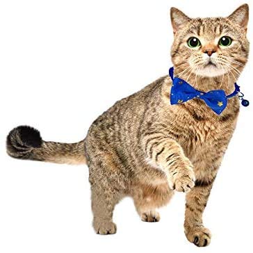 [Australia] - Yangbaobao 2PCS Breakaway Cat Collars with Bowtie and Bell Golden Stars Pattern Safety Kitten Collars, Adjustable from 7.0-12.5 Inch Purple+Blue 