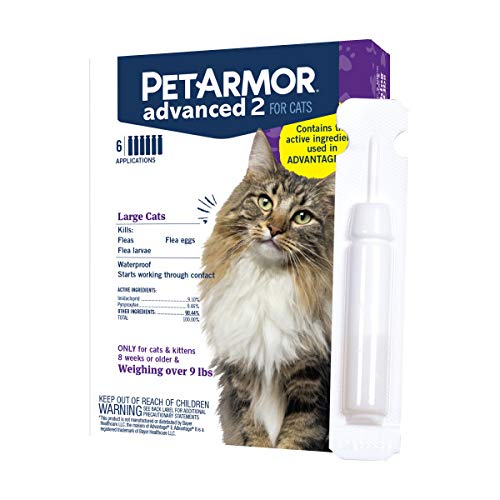 PetArmor Advanced 2 Flea Prevention for Large Cats, 6 Month Supply - PawsPlanet Australia