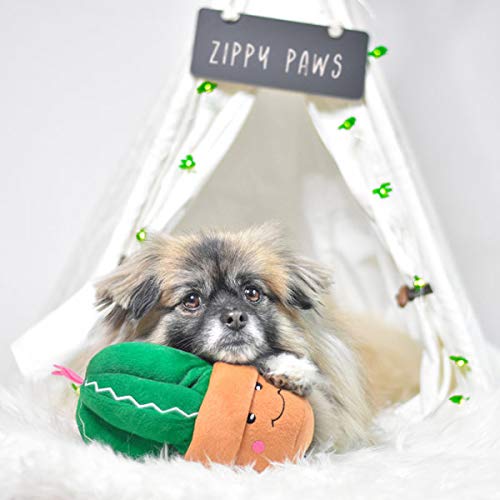 [Australia] - ZippyPaws - Stuffed Plush Dog Toy with Squeaker - Carmen The Cactus 