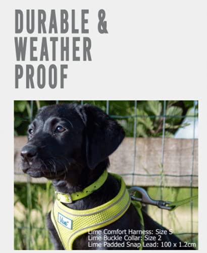 Ancol Viva Lightweight Breathable Comfort Mesh Dog Harness Lime Size Small (Fits Girth 34-45 cm) - PawsPlanet Australia