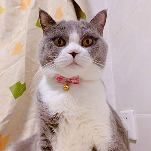 PetSoKoo Bowtie Chirimen Cat Collar With Bell. Japan Flower Bow Tie Style. Safety Breakaway & Light Weight, Soft, Comfortable, Durable Standard (6-13 inch,16-32cm) Sakura Pink - PawsPlanet Australia