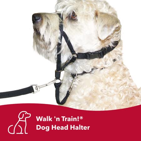 Coastal Pet - Walk 'n Train - Dog Head Halter - Black - Medium - Size 2 - PawsPlanet Australia