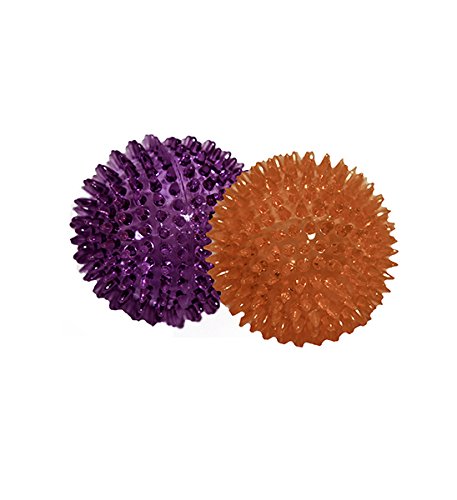 Rosewood Jolly Doggy Catch and Play Spikey Rubber Ball for Dogs, 8 cm, clear - PawsPlanet Australia