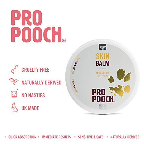 Pro Pooch Itchy Skin Dog Balm - For Dogs w/Sensitive Skin - Helps Relieve Itching & Symptoms of Other Dry Skin Conditions - Antibacterial & Antifungal - 100ml - PawsPlanet Australia