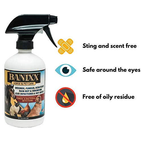 Banixx Horse and Pet Care 16-Ounce - PawsPlanet Australia