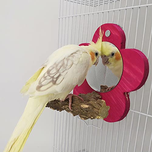 MKubwaa Bird Mirror Toy with Perch Stand for Cage, Parrot Hanging Cage Play Toy Bird Prickly Ash Wood Perches for Parakeets Cockatiels Conure Budgies Lovebirds Finch Canary African Grey Cockatoo Rose Red - PawsPlanet Australia