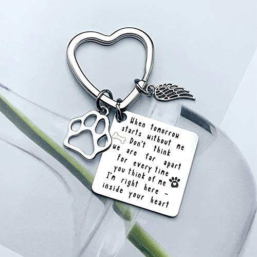 OYEFLY Pet Memorial Keychain Jewelry to Commemorate Pets Dogs and Cats Pet Key Ring with AngelWings Paw Imprint Loss of Pet Keychain Personalized Gift Dog Cat - PawsPlanet Australia