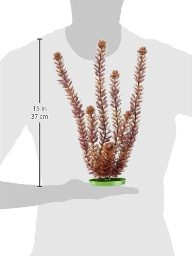 [Australia] - Marina Aquascaper Foxtail Plant, 15-Inch X-Large 